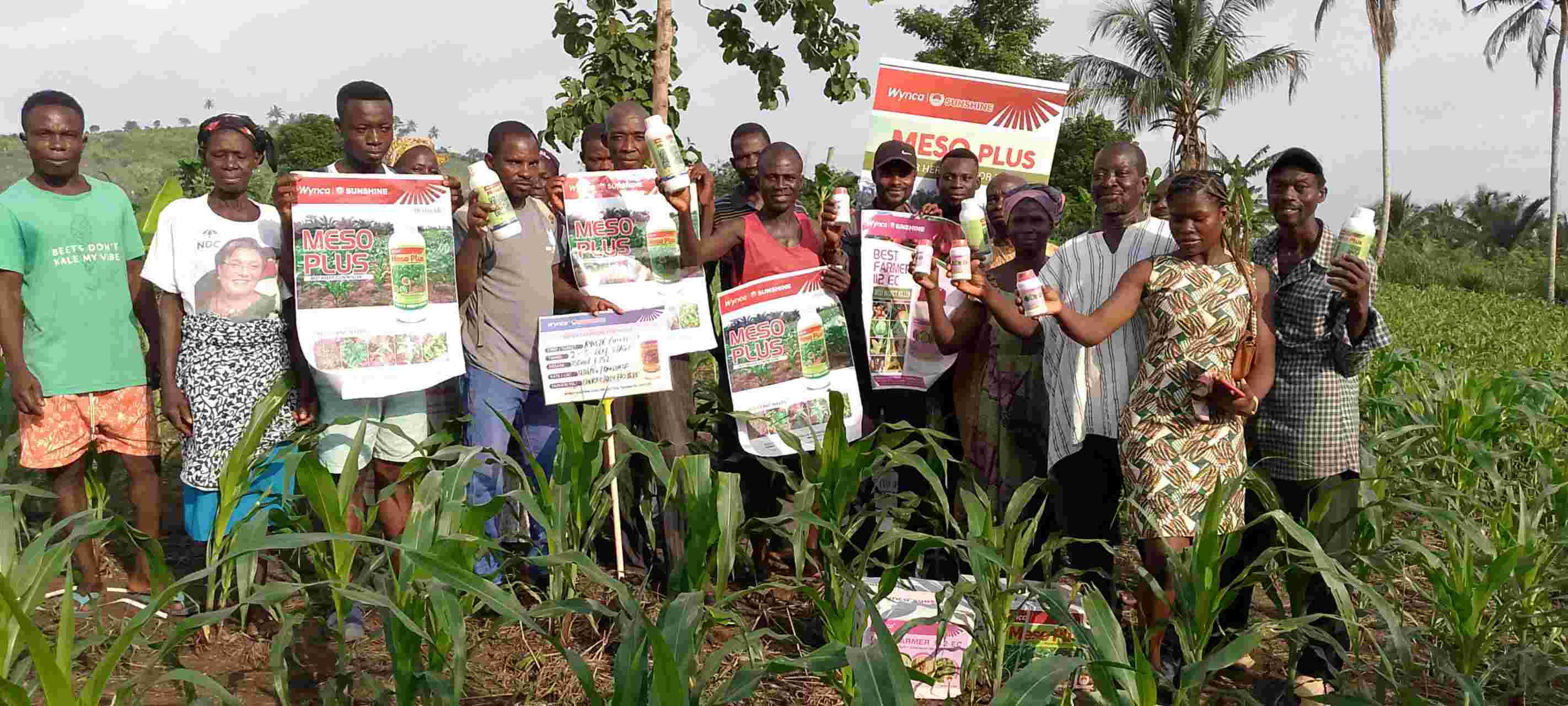 1740121774740384sb2a.jpg 1740121774740384sb2a.jpg