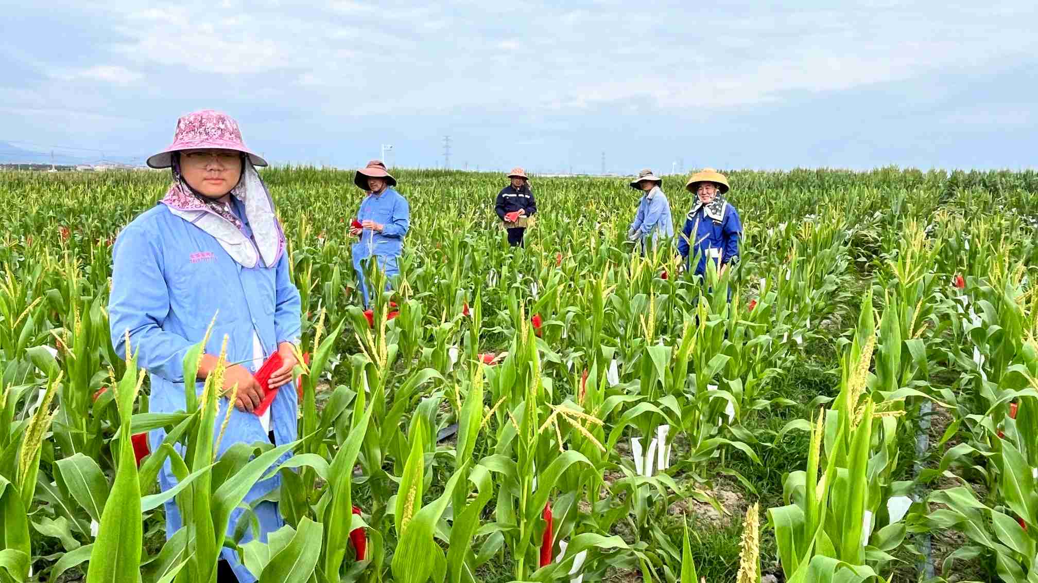 1740554534105207eAzZ.jpg 1740554534105207eAzZ.jpg