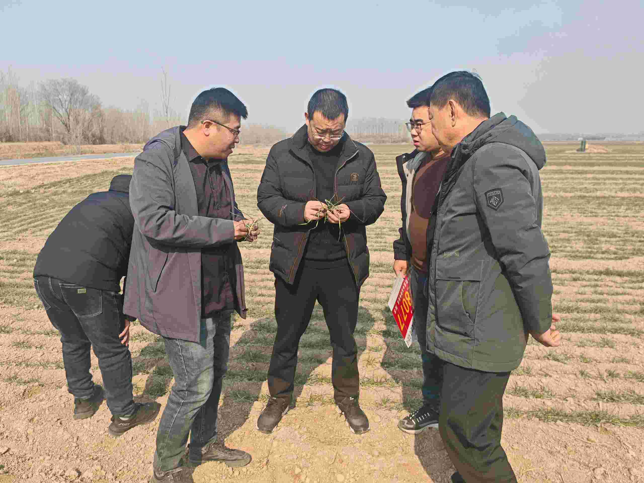 174055457635870225Ye.jpg 174055457635870225Ye.jpg