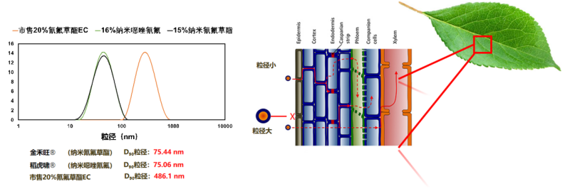 1749015777312460ocF4.png 图片1.png