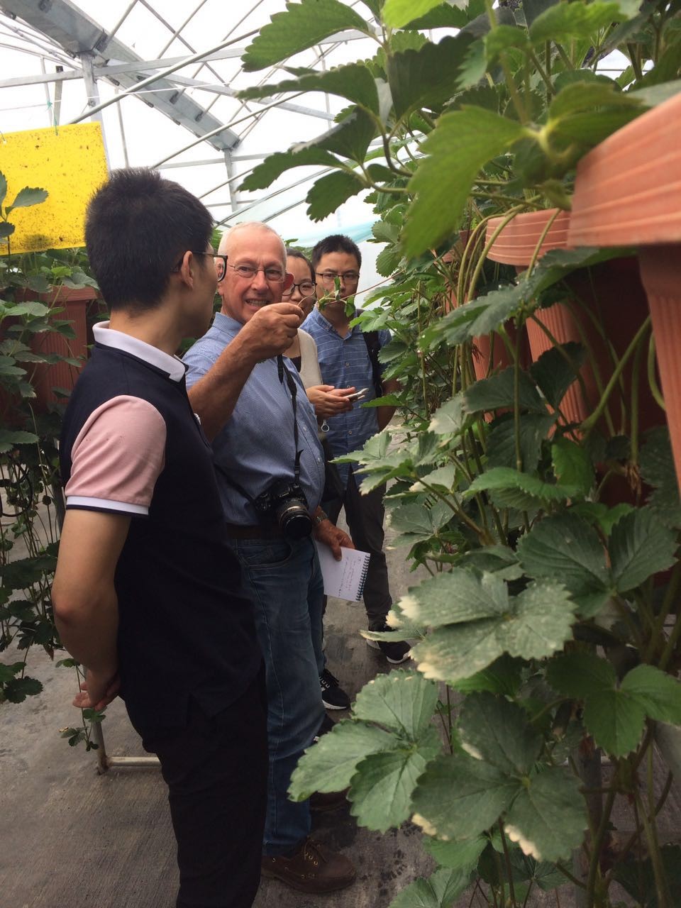 1498811941196724XaqX.jpg 法国农艺专家.jpg