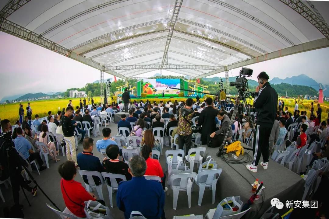 1602054249962364E3wD.jpg 1602054249962364E3wD.jpg